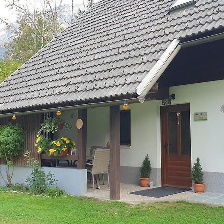 Apartment Sonce Bohinj Εξωτερικό φωτογραφία