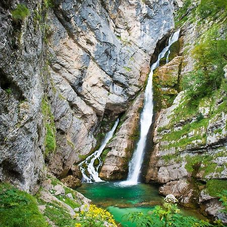 Apartment Sonce Bohinj Εξωτερικό φωτογραφία