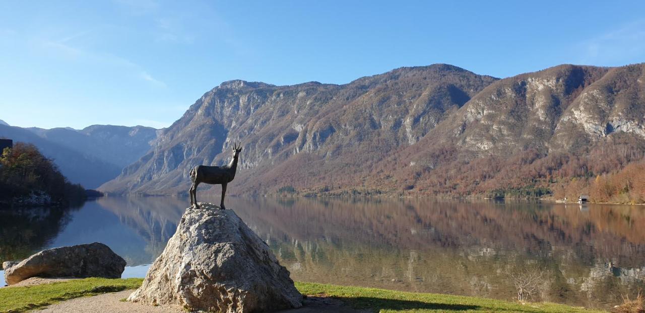 Apartment Sonce Bohinj Εξωτερικό φωτογραφία