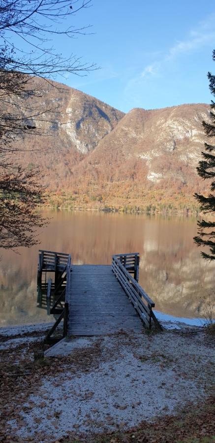Apartment Sonce Bohinj Εξωτερικό φωτογραφία