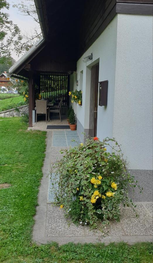 Apartment Sonce Bohinj Εξωτερικό φωτογραφία