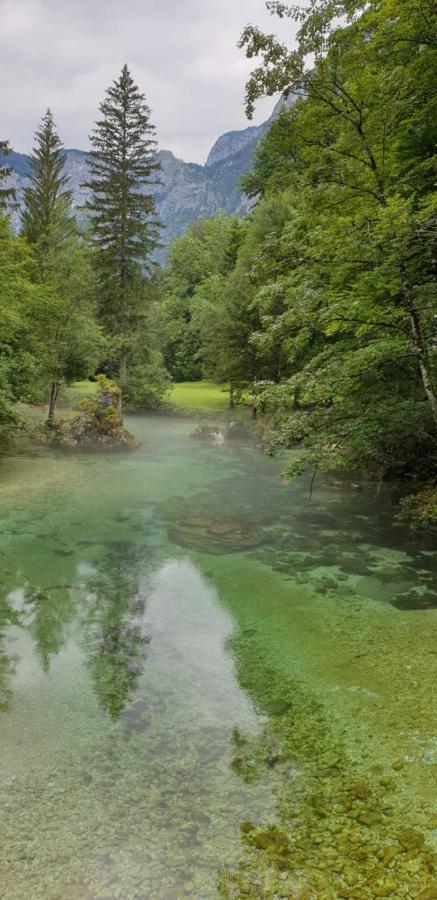 Apartment Sonce Bohinj Εξωτερικό φωτογραφία