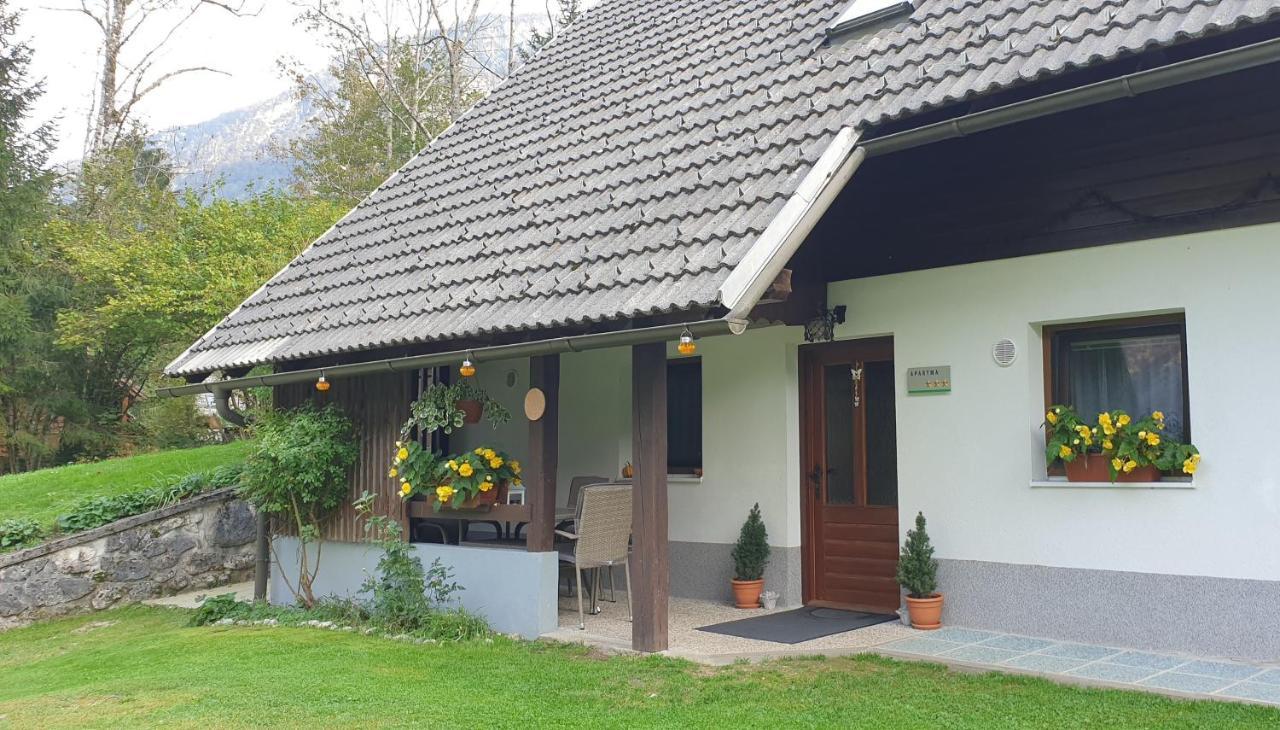 Apartment Sonce Bohinj Εξωτερικό φωτογραφία